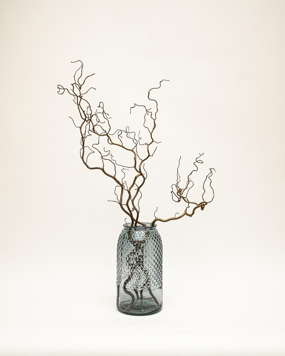 Ormhassel – 5 St., Flora Grossist, torkade-blommor